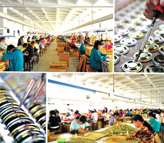 嘉兴市南湖区顺达电声器材厂与赛嘉电子 协同创新，引领电声行业发展